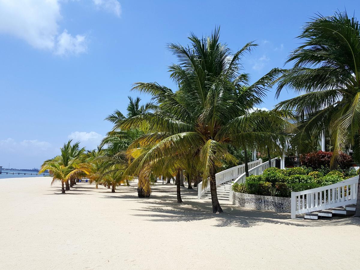 The Placencia Maya Beach Eksteriør billede